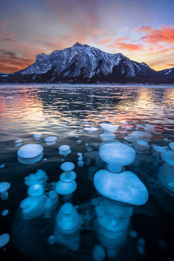 Ice bubbles at Abraham Lake during sunrise - Photo credit: Carmon Macleod @swissclick_photography