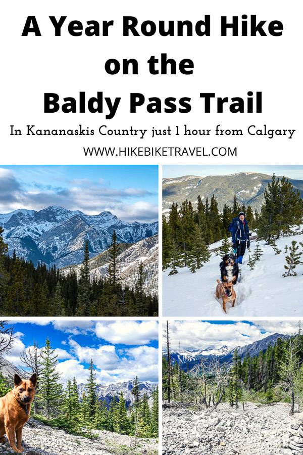 A year round hike on the Baldy Pass trail in Alberta's Kananaskis Country