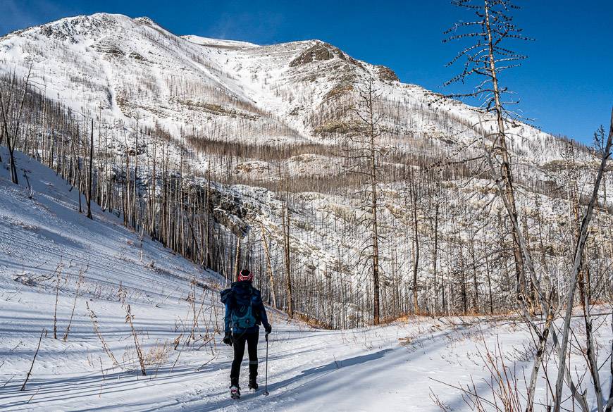 Easy winter hike or snowshoe to Crandell Lake