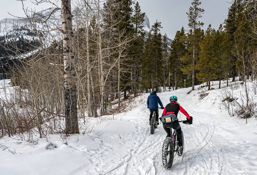 Fat biking on multi-use trails with Sweet Riders showing us the ropes 