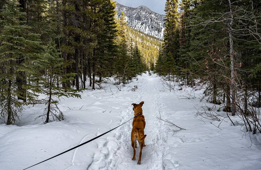 Starting off on the Baldy Pass Trail