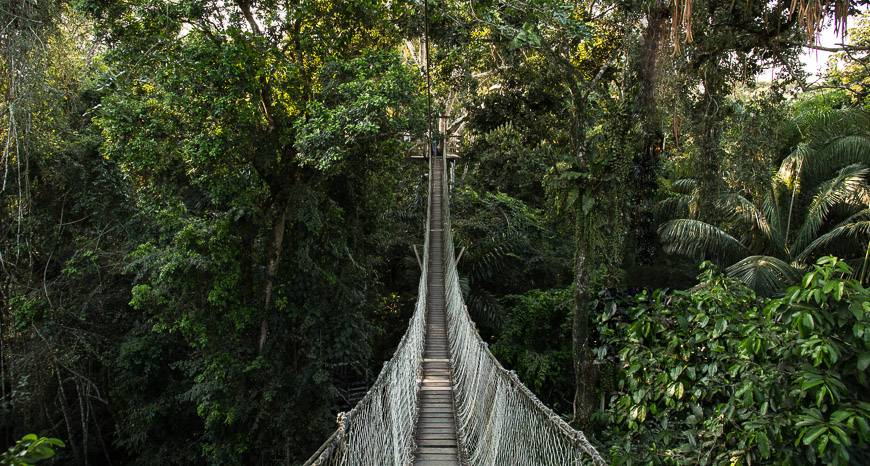 Inkaterra Canopy Walkway