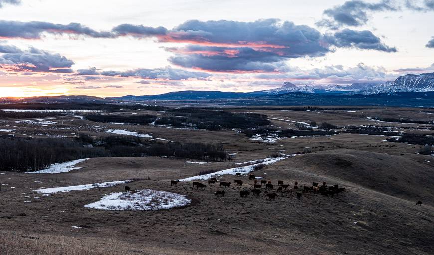 Winter road trip with a stop for this view on the way to Waterton