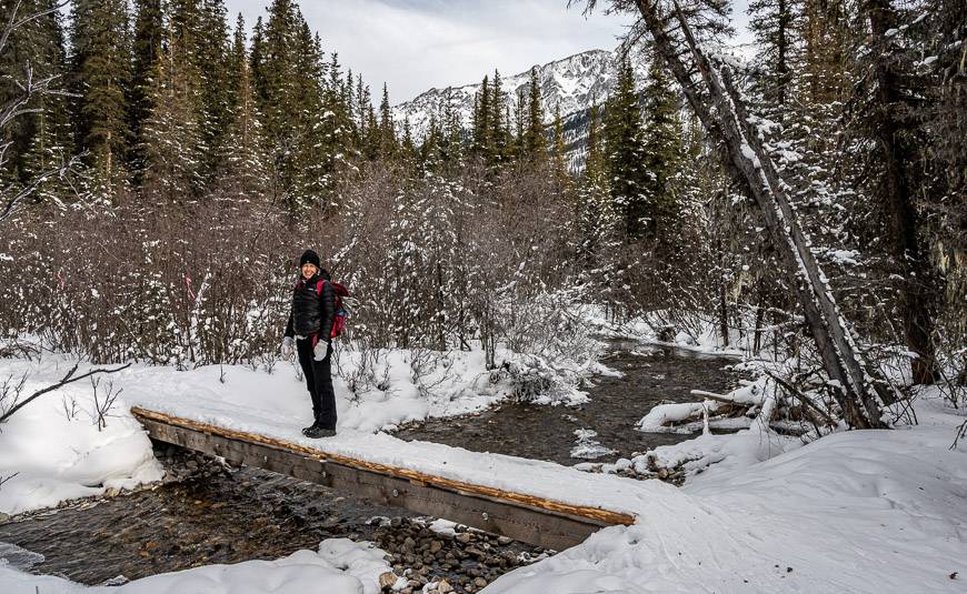 Snowshoeing in Jasper to Beaver Lake