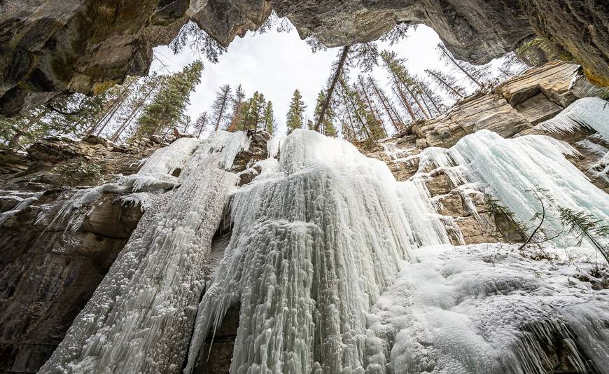 Don't forget to look up in Maligne Canyon