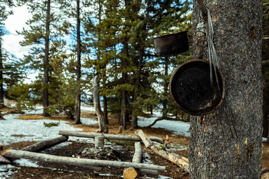 Cooking utensils are left hanging in the tree