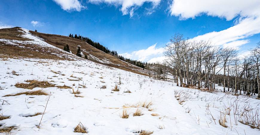 Looking up from the Mesa Traverse Trail