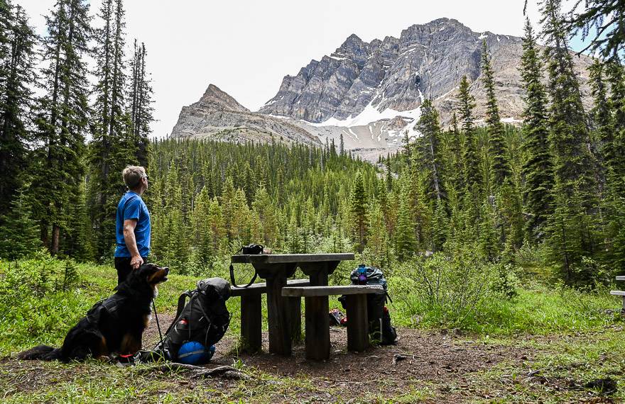 Views from the Mosquito Creek Campground