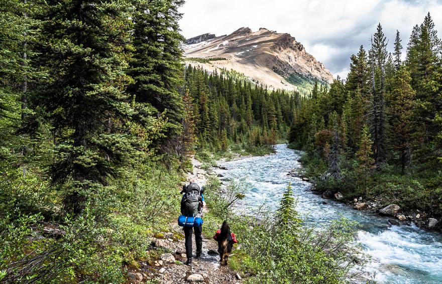 On the way to Mosquito Creek Campground