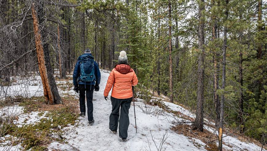 Walking through open woods to the Cline River Canyon