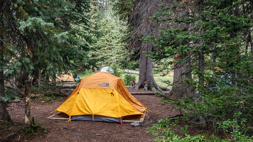 Tents in the trees at the Yoho Lake Campground