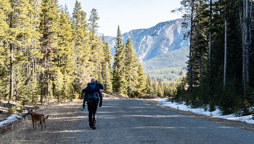 Walk the road into the campground if you're doing the Mount Burke hike before May 15th