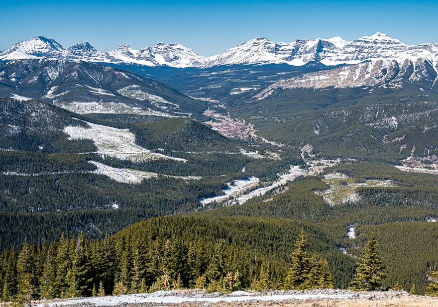 The view within minutes of clearing treeline