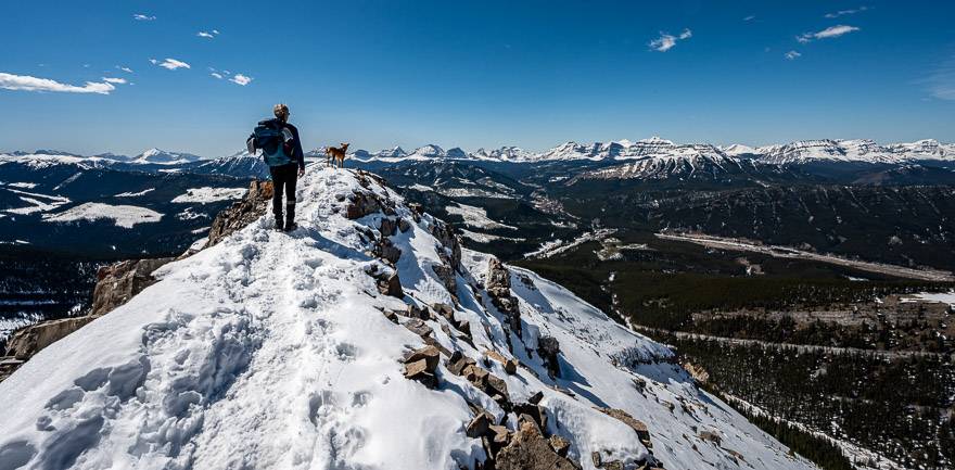 Our dog Mila surveying the mountainscape