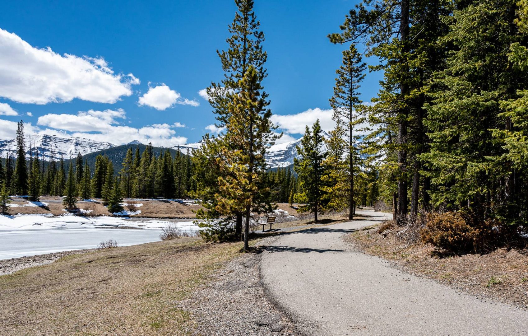 Lovely 1 km paved trail around Forgetmenot Pond