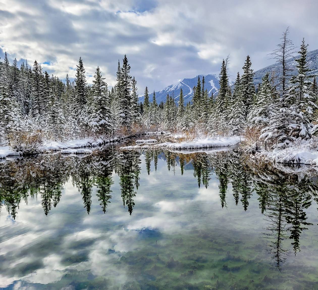 You can't beat the reflections in the ponds, no matter what direction you look