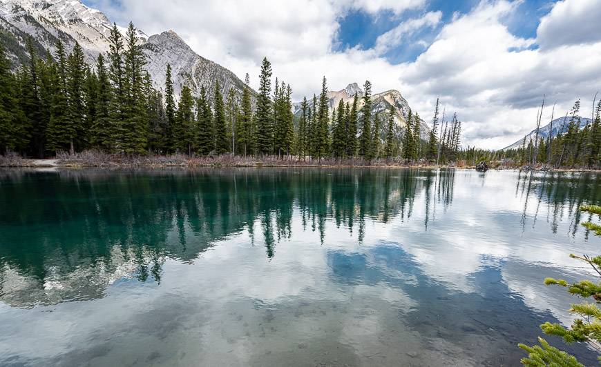 A gorgeous view of the ponds