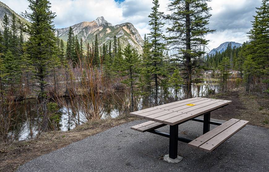 Numerous picnic tables around the ponds