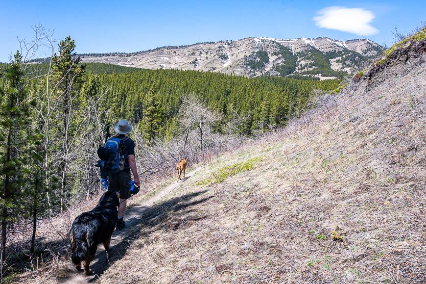 Heading to the high point at the far right on Raspberry Ridge