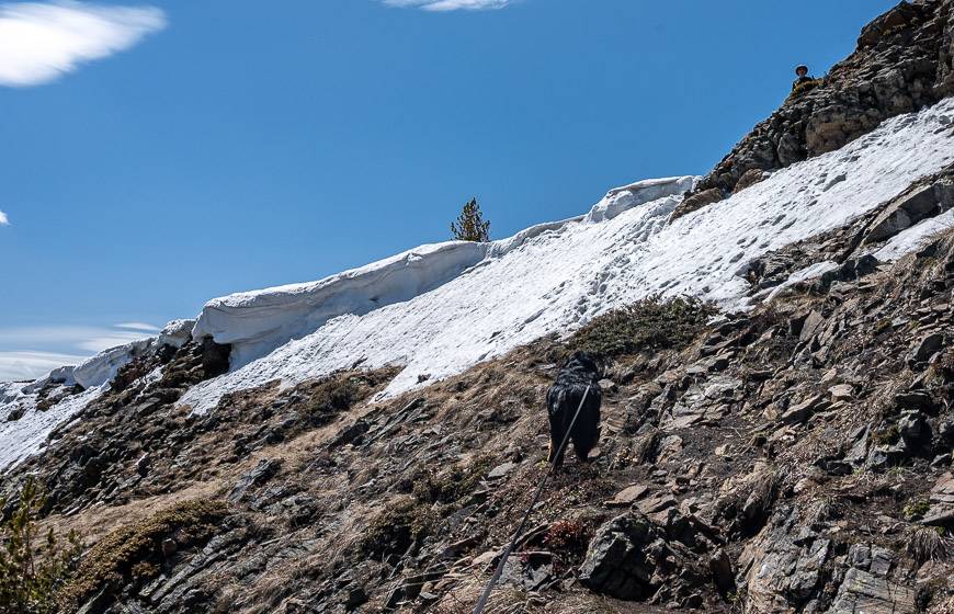 This steep snow climb is where many people have to turn back earlier in the season