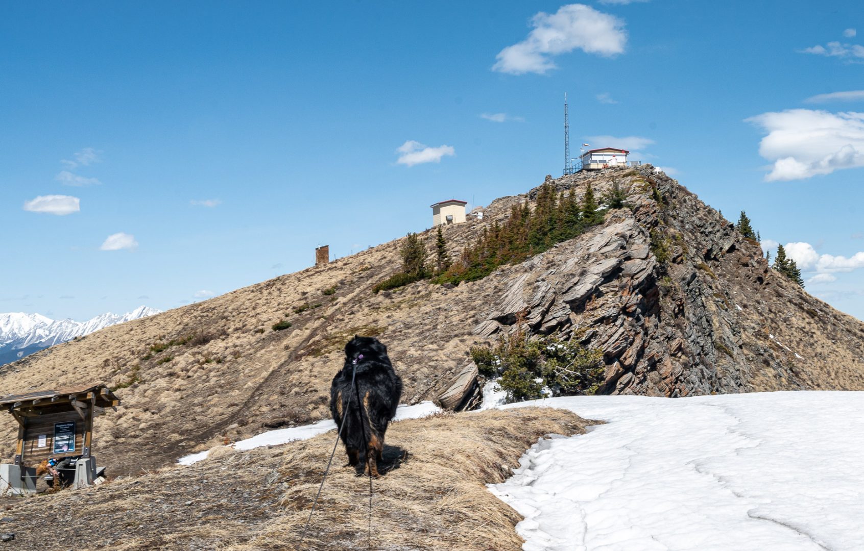 The Raspberry Ridge hike in Kananaskis Country