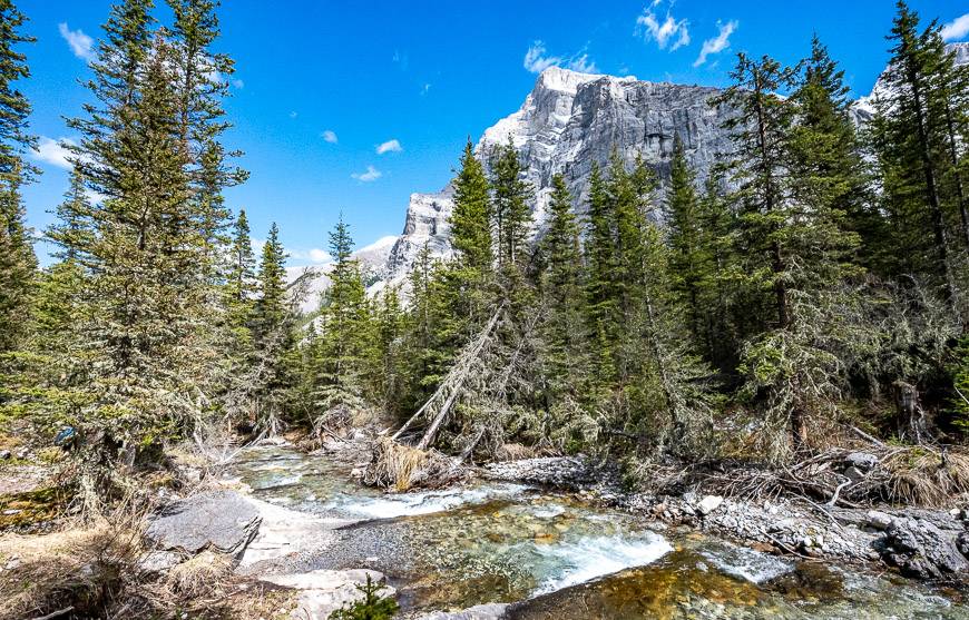 A beautiful scene beside the trail on the way to and from Ribbon Falls