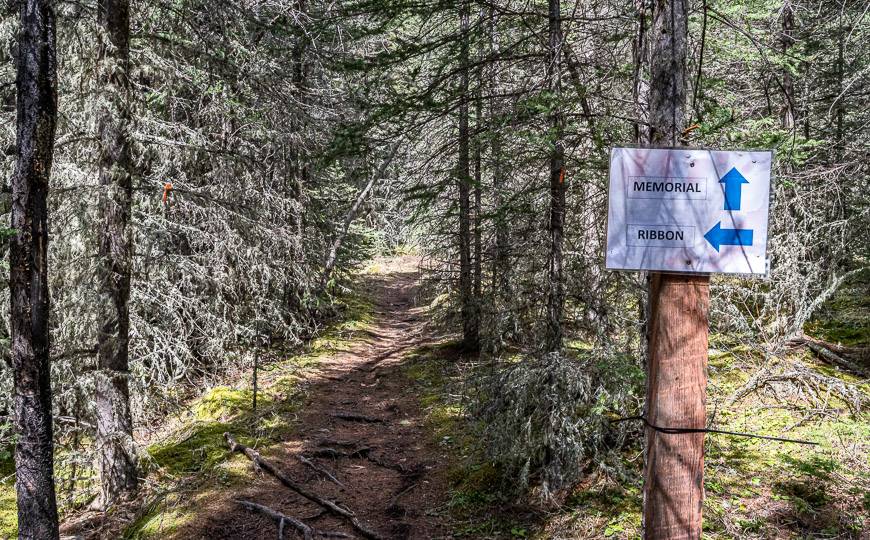 The Memorial Lakes Trail is another option accessible from the Ribbon Creek trail -