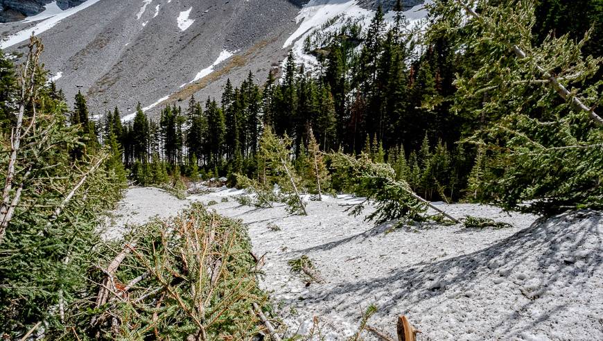 The devastation of a recent spring avalanche