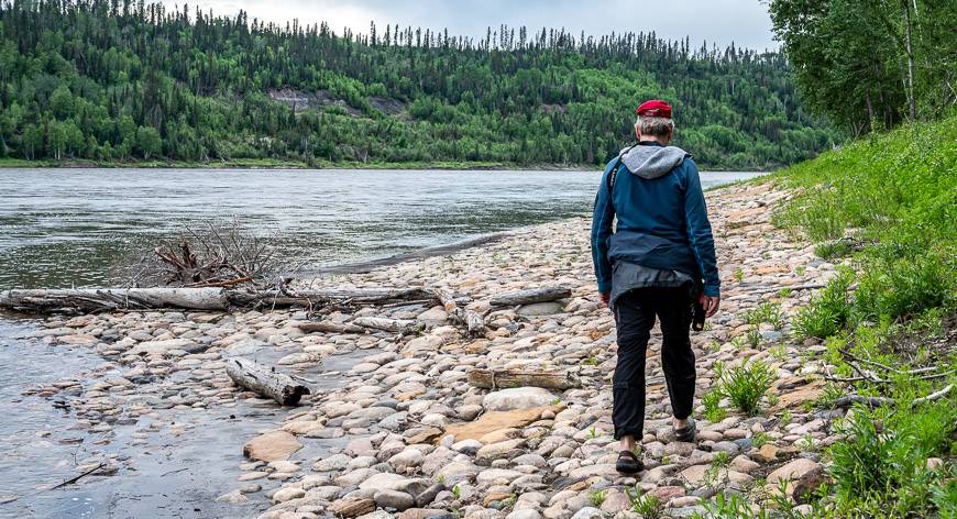 Exploring the cobbled shoreline of the Athabasca River