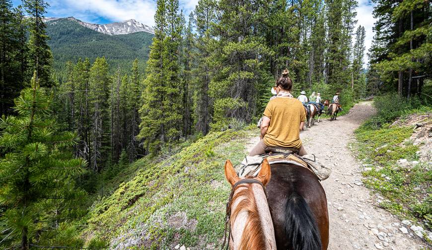 Horseback riding in Banff back to the lunch spot on the Bow River