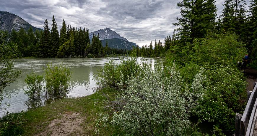 Horseback riding in Banff on the scenic Marsh Loop back to the barn