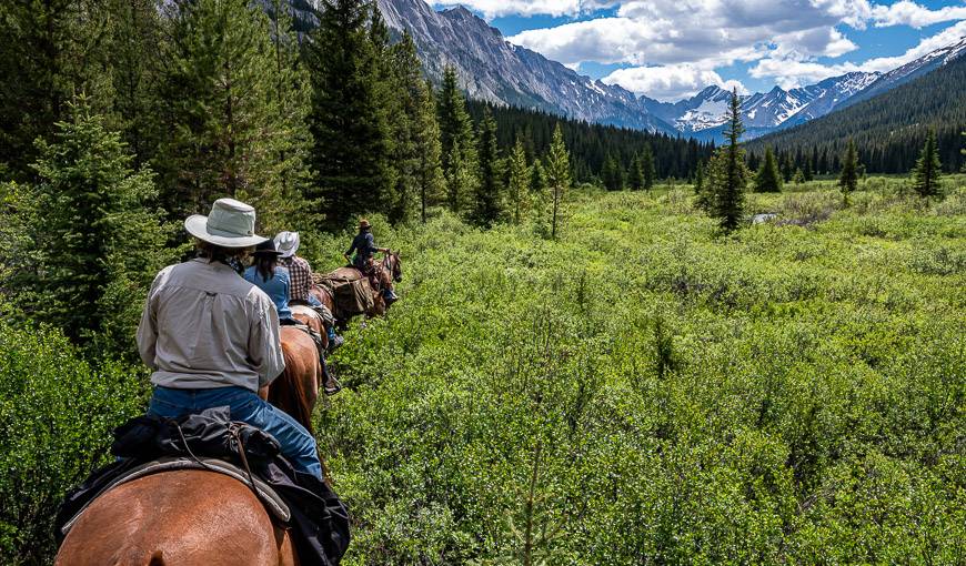 Horseback riding in Banff - and heading south from Sundance Lodge towards a large meadow