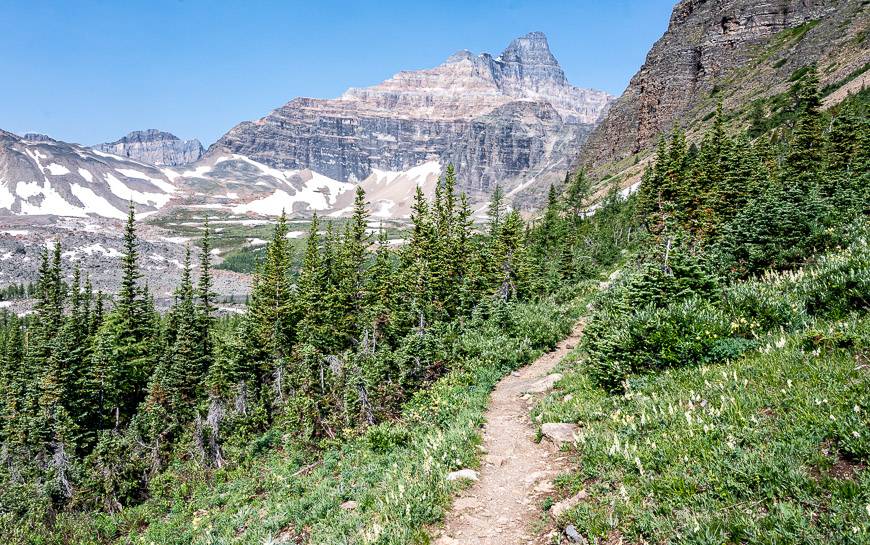 The trail to Eiffel Lake is not a busy one