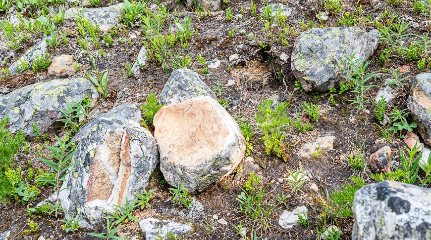 We stop to discuss why so many boulders in some areas have been moved 