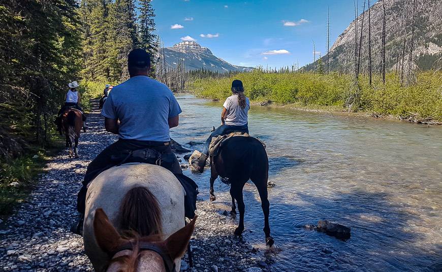 Stopping along the Bow River to let the horses drink