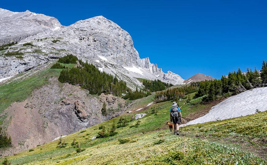 Entering the beautiful sub-alpine on the Piper Pass hike