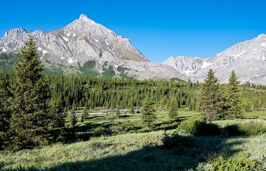 You can enjoy a morning coffee with these views from a seating area around fire rings