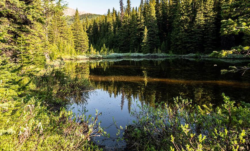 The first of the Tombstone Lakes is more of a puddle