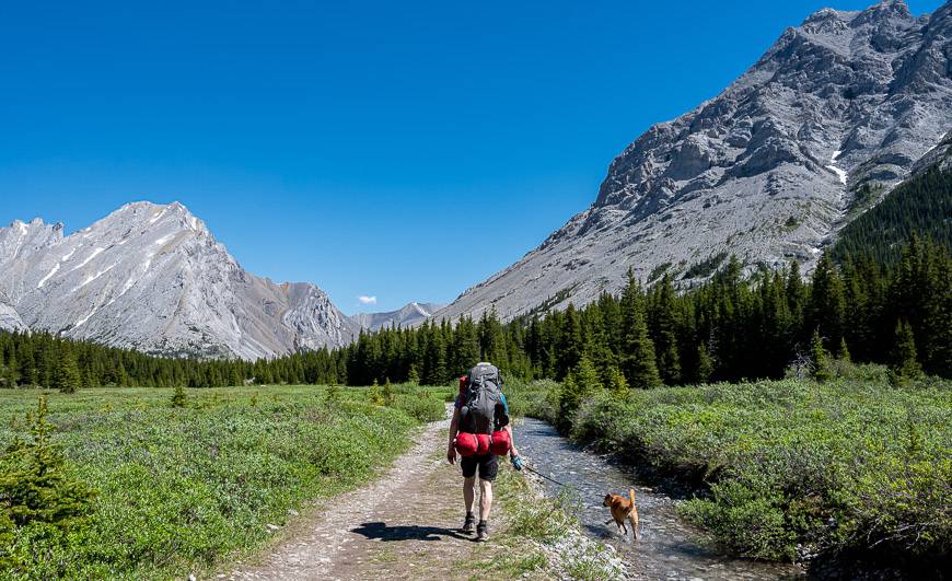 Easy walking along a road like trail in the direction of Tombstone Campground