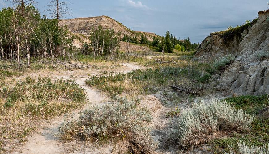 Exploring the informal trails near a piece of land owned by the Nature Conservancy of Canada