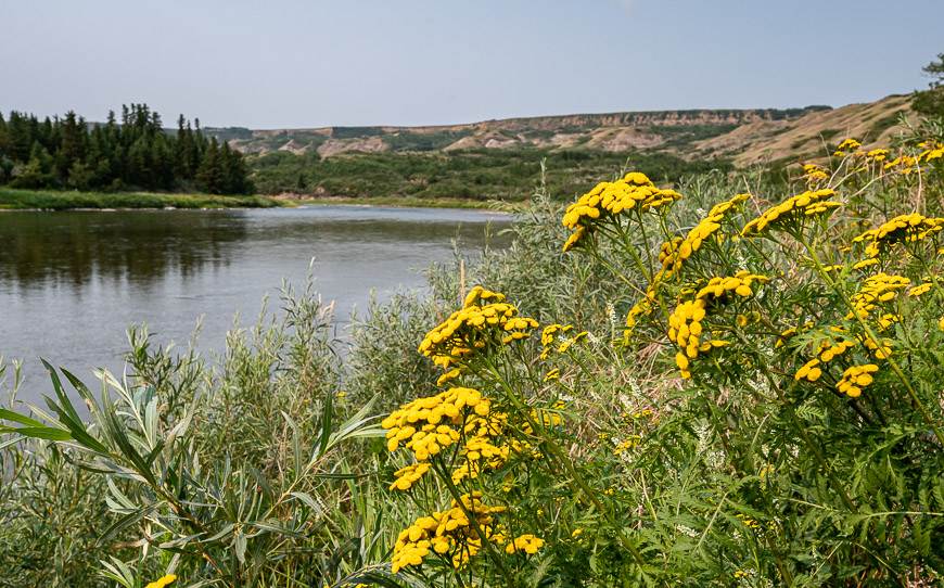 There's good access to the Red Deer River with a boat launch