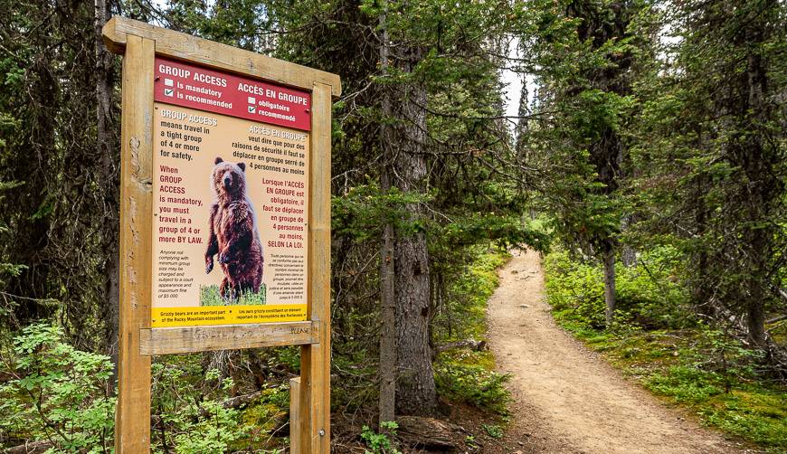 You need to know you're traveling through a bear corridor