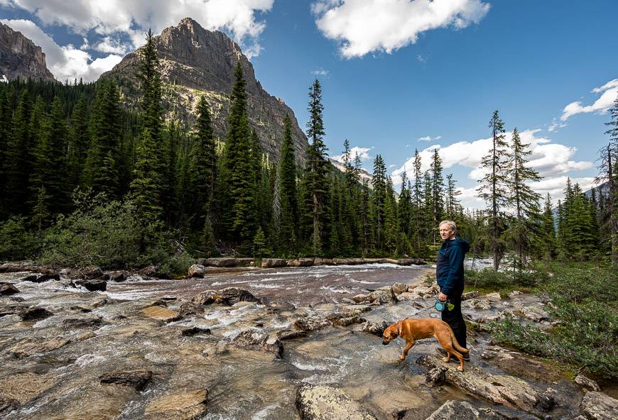 Beautiful backdrop where you get your water