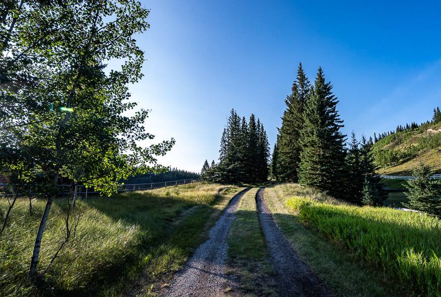 Quiet roads to walk on the property