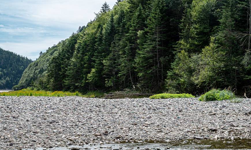 Cross the Little Salmon River heading for the white blaze that can be seen in the trees