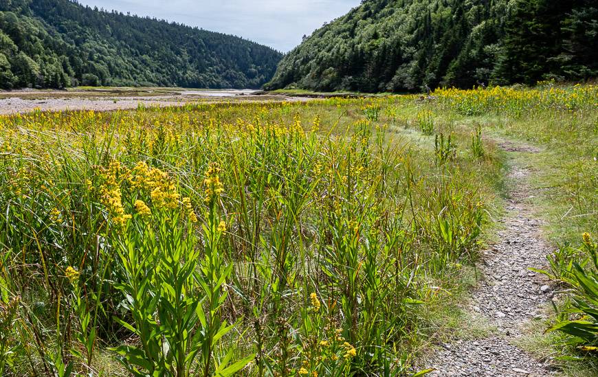 Follow the trail along the river to a point where you see the blazes again