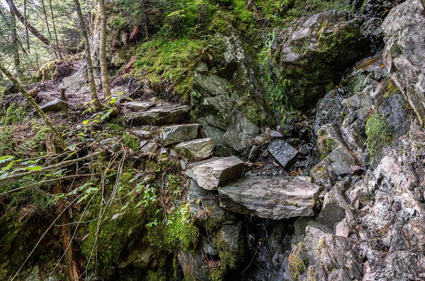 Quite the trail building