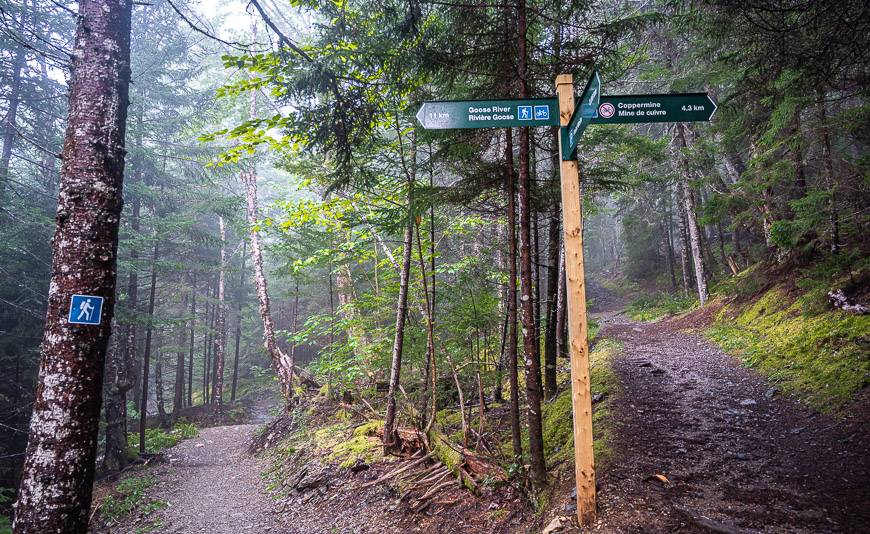 Excellent signage on the Goose River Trail in Fundy National Park