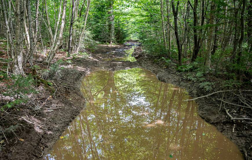 There are roads into Martin Head but some look like this