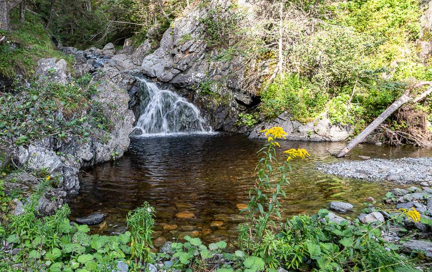 A fabulous swimming hole at Telegraph Brook